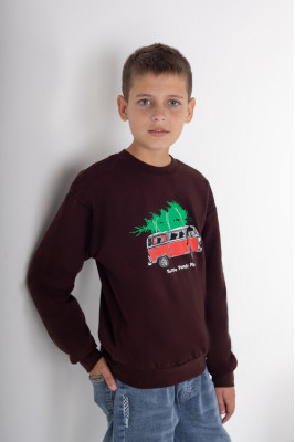 Світшот для хлопчиків